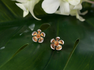 Orchid Garden Gemstone Earrings (Copy)